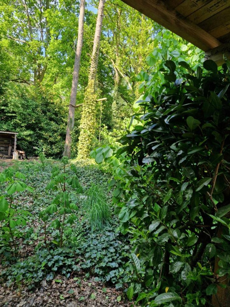 Benb Op De Vleet Vrijstaande Accommodatie Plantage Centrum 外观 照片